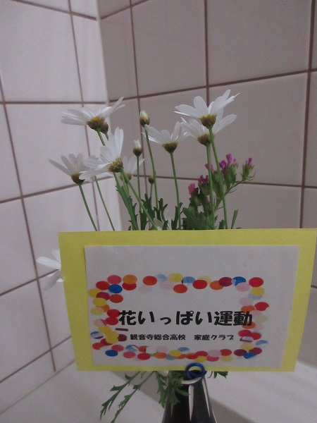 2605098.jpg 2605098.jpg