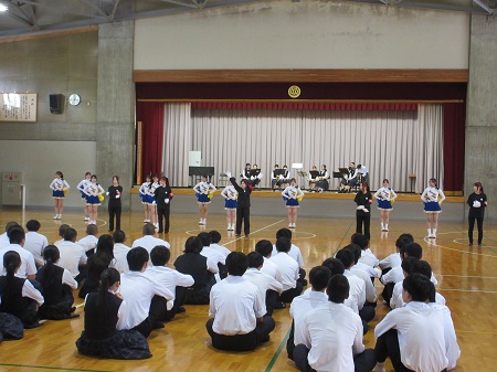 2605291.jpg 2605291.jpg