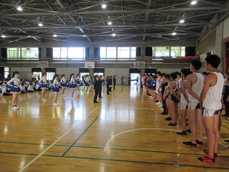2605295.jpg 2605295.jpg